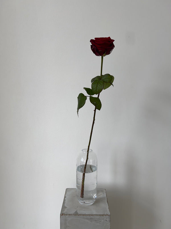 Red Naomi Rose