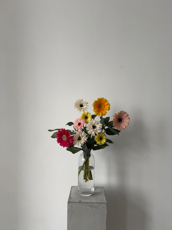 Rainy Daisy