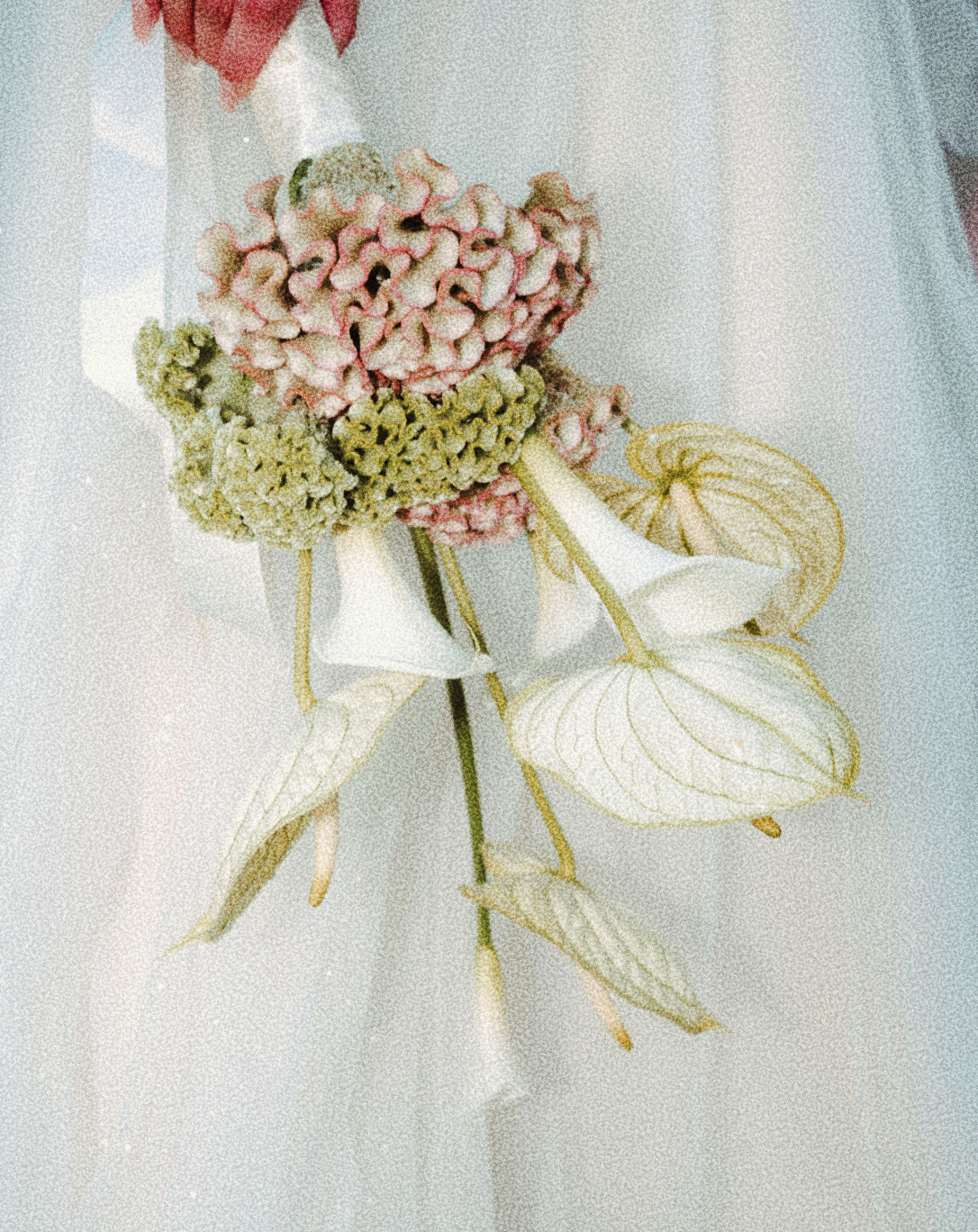 Workshop 2 Floral Arrangement Design - May 2026