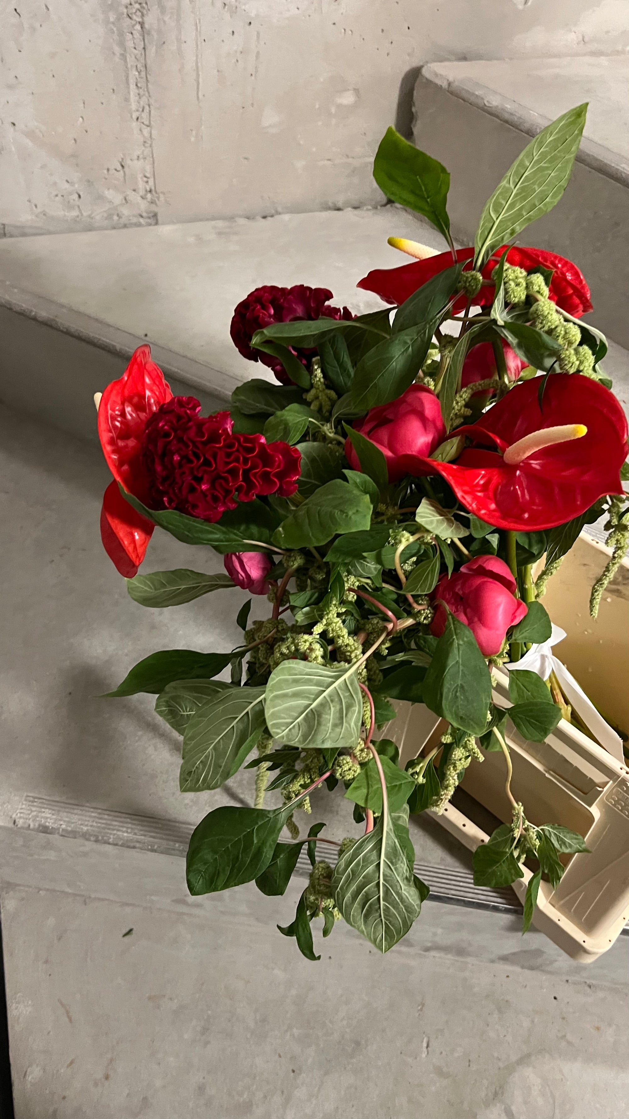 Amaranthus, red & pink