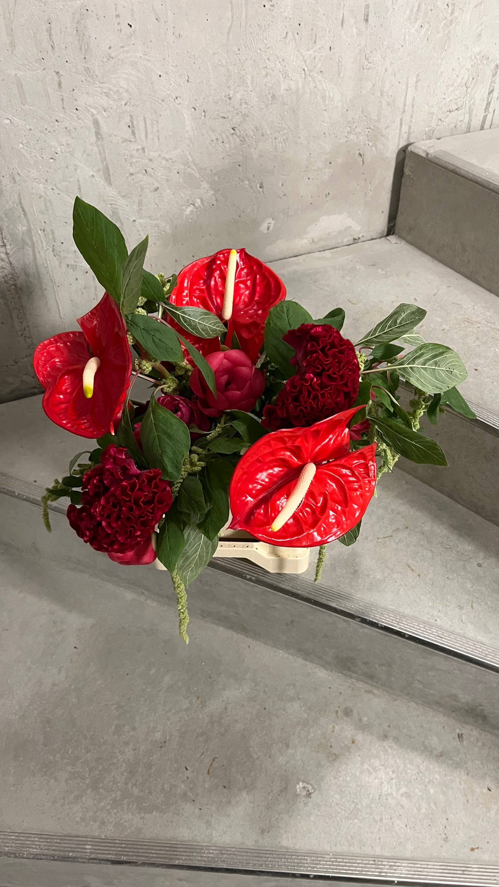 Amaranthus, red & pink