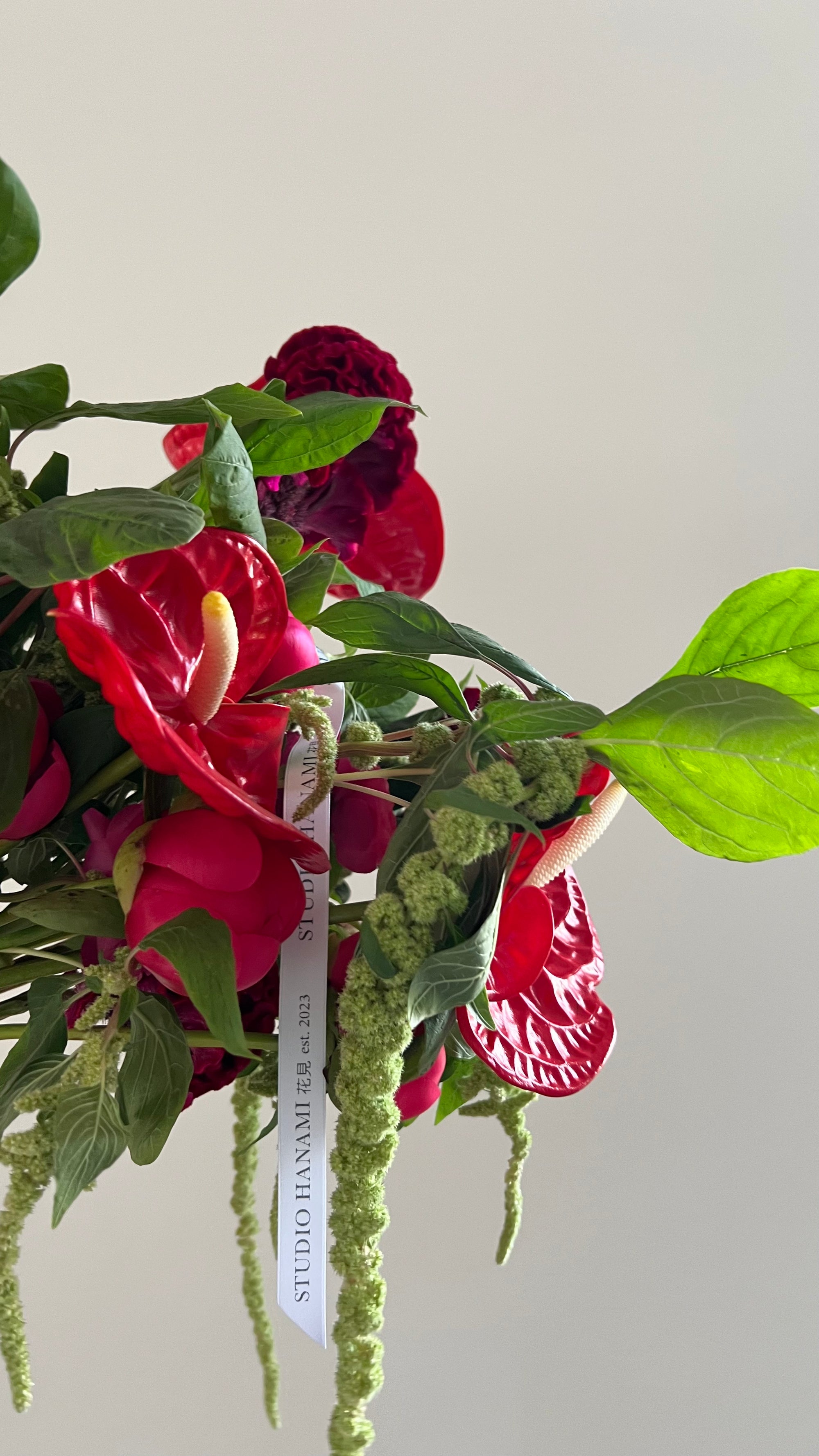 Amaranthus, red & pink