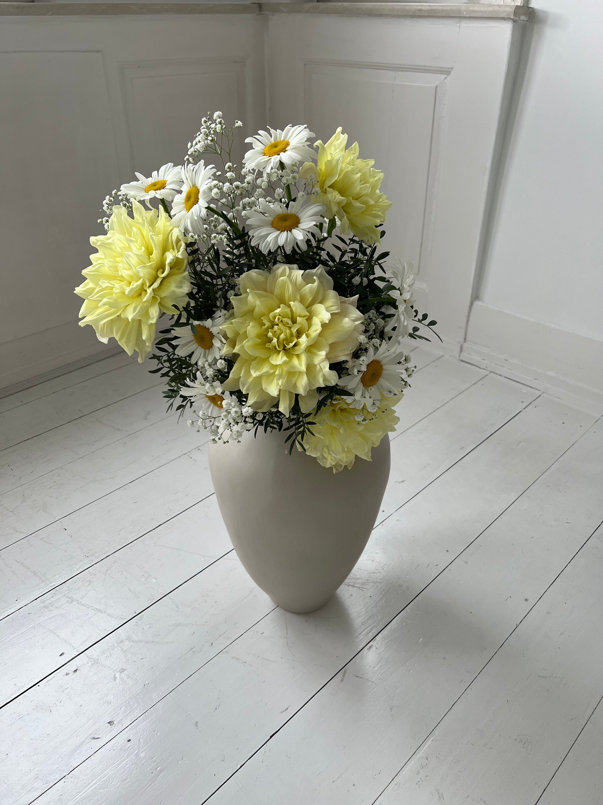 Dōmo Dahlia