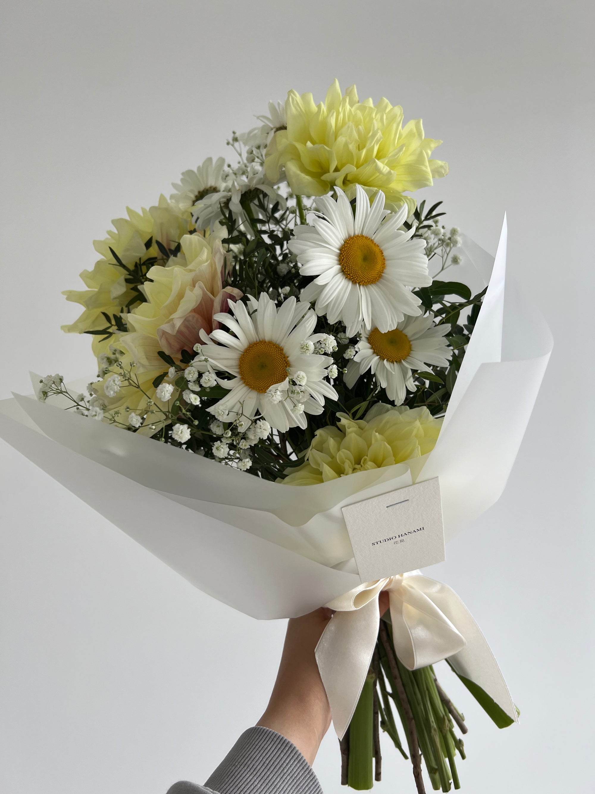 Dōmo Dahlia
