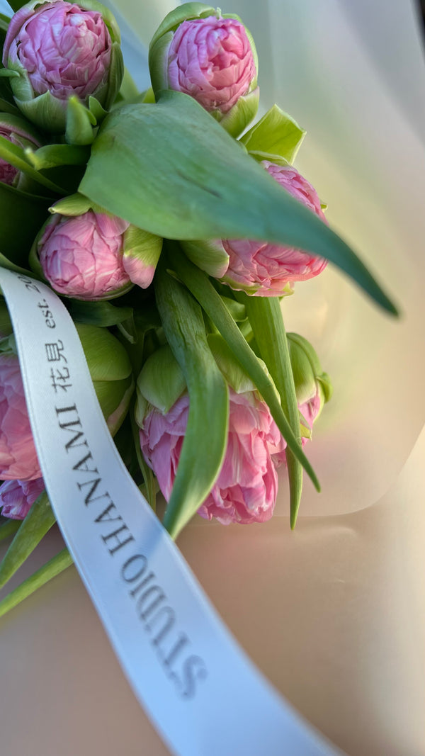 Strawberry Cream Peony Tulips