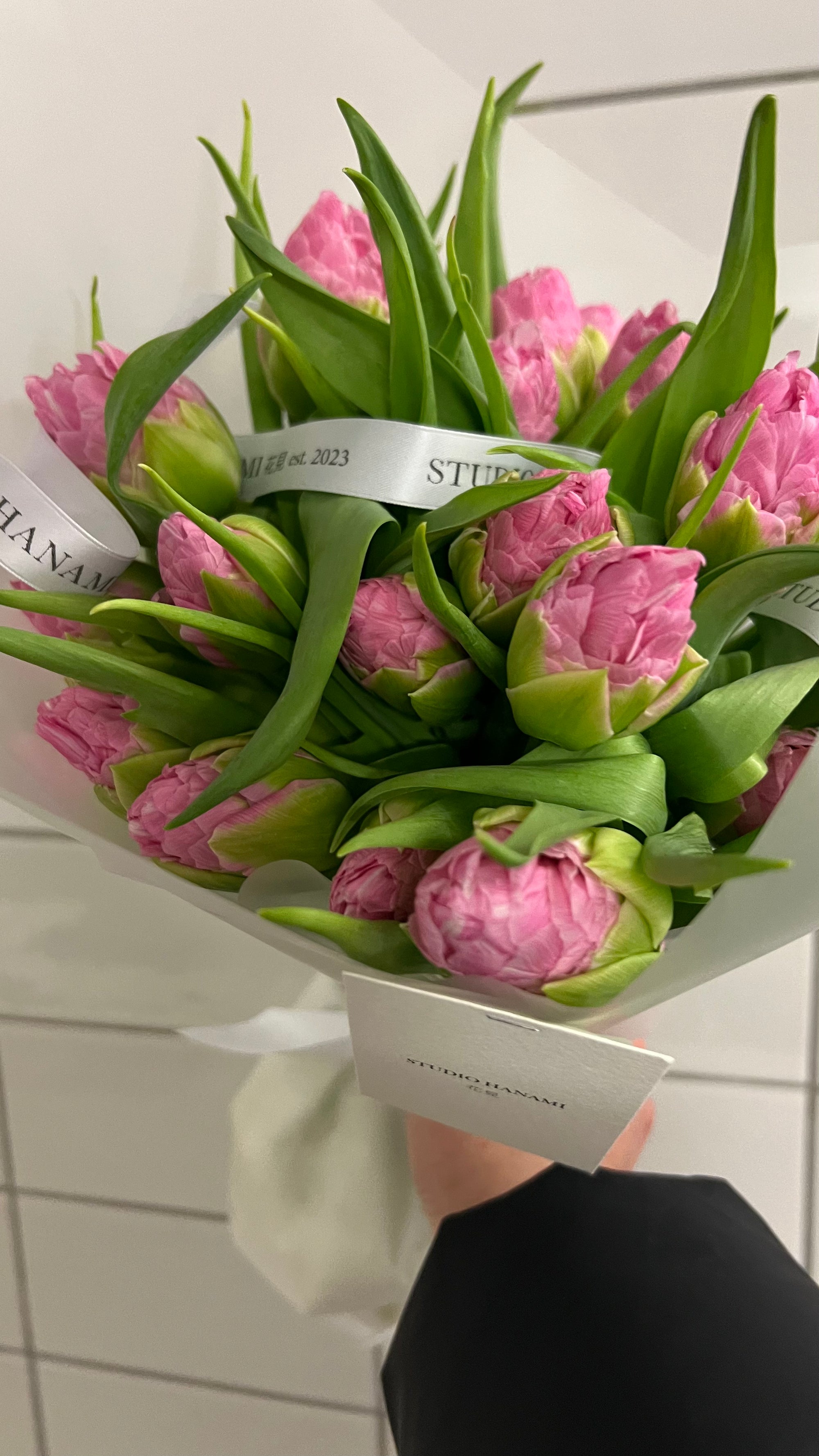 Strawberry Cream Peony Tulips