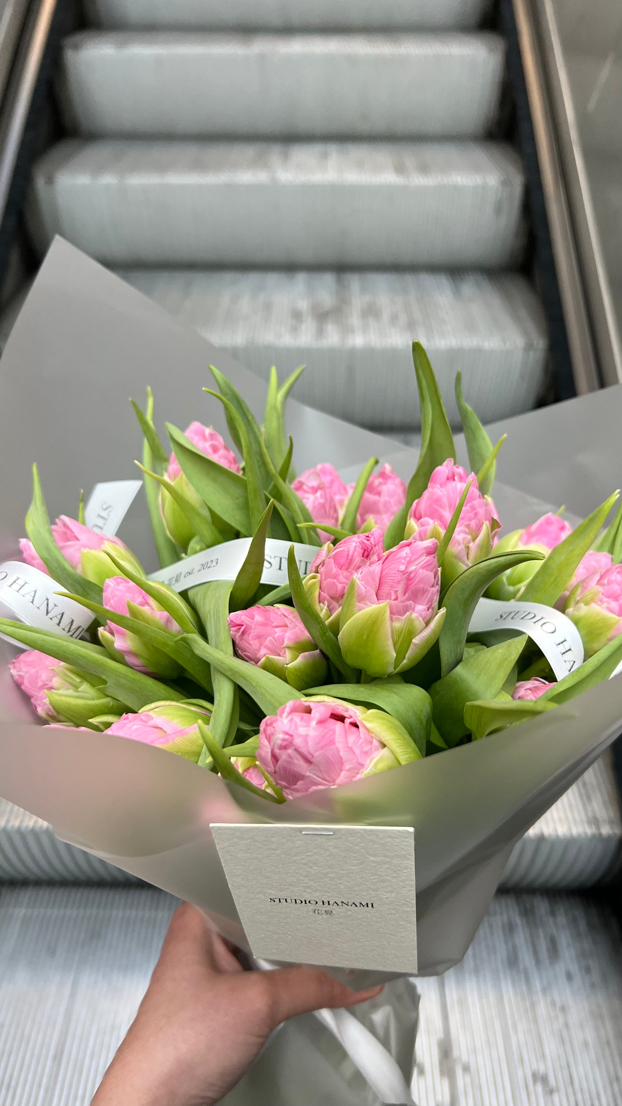 Strawberry Cream Peony Tulips