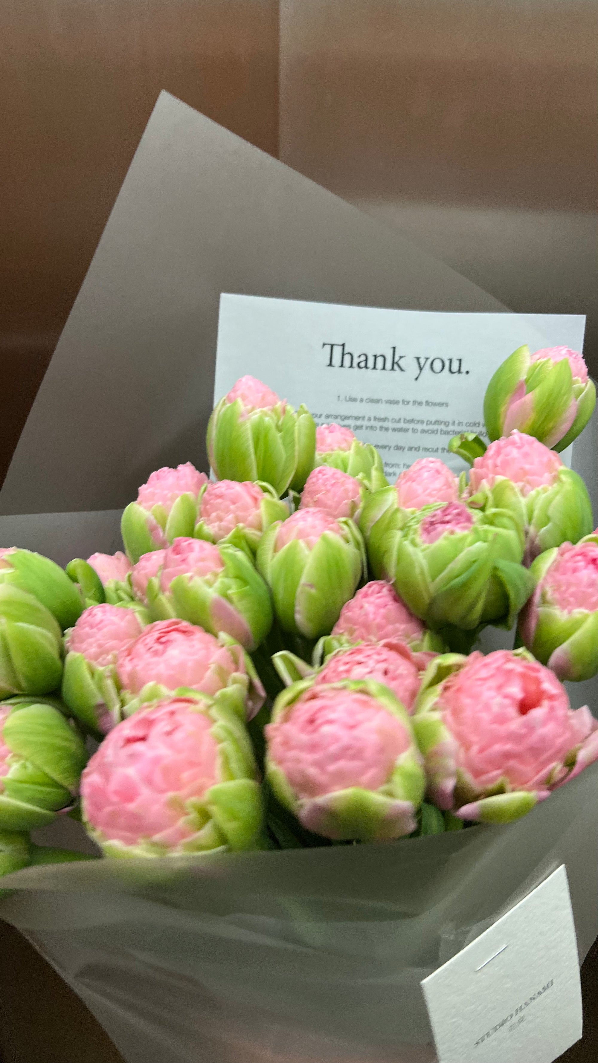 Strawberry Cream Peony Tulips